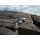 DJI Lito X1 Fly More Combo (RC-N3) - 1517432 - zdjęcie 7